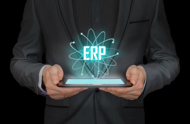 Custom Report Builder for a SaaS ERP System